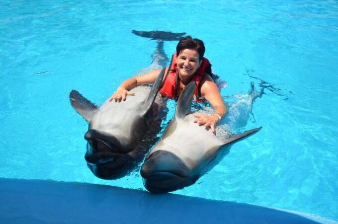 Hurghada: Dolphin World Private Swimming With Pickup - Activity Description