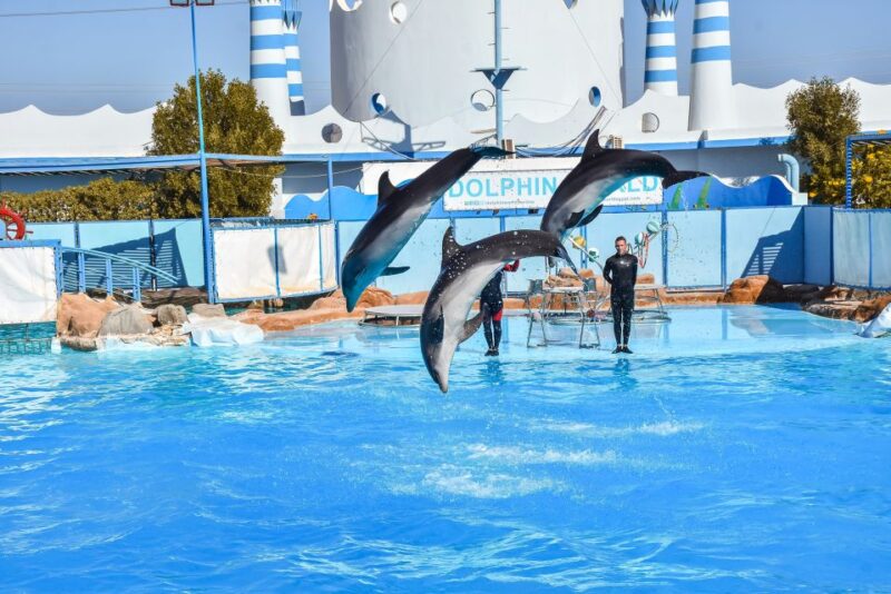 Hurghada: Dolphin World Show With Walruses and Pickup - Customer Reviews