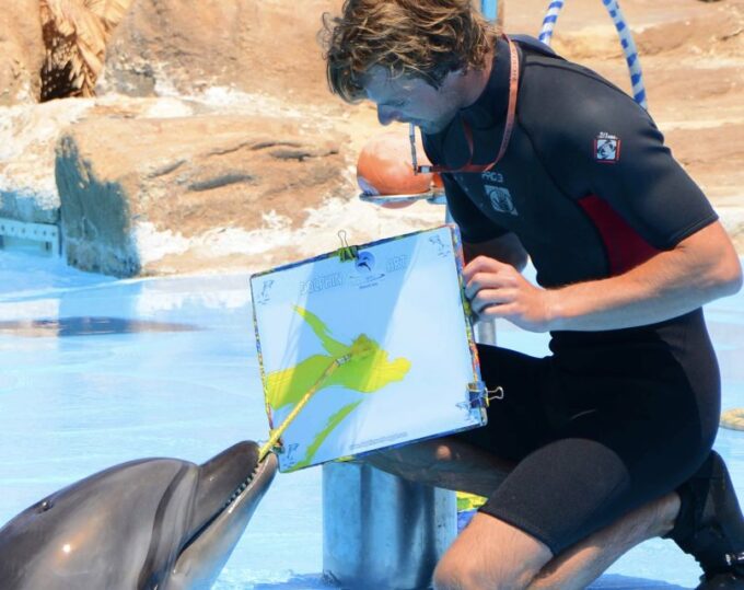 Hurghada: Dolphin World Show With Walruses and Pickup - Onsite Activities