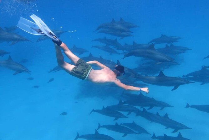 Hurghada Dream Island - Convenient Hotel Transfers
