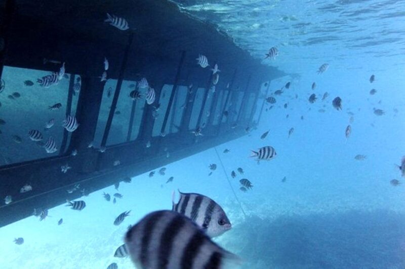 Hurghada: Empire Submarine Boat Trip With Snorkel and Drinks - Transportation and Pickup