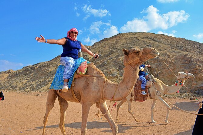 Hurghada: Full Day Jeep, Quad Bike, Buggy and Bedouin Dinner - Overview of the Adventure