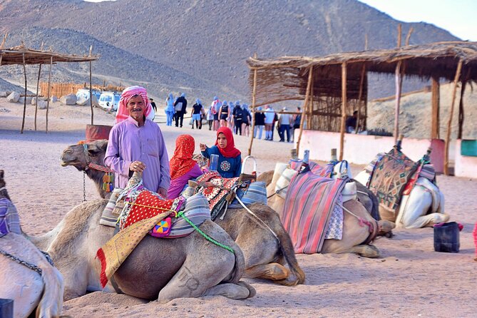 Hurghada: Full Day Jeep, Quad Bike, Buggy and Bedouin Dinner - Health and Accessibility Considerations