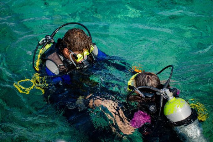 Hurghada: Full-Day Scuba Diving Discovery - Customer Feedback and Ratings