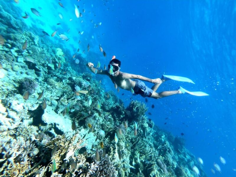 Hurghada: Full-Day Snorkling Trip to Super Utopia - Key Points