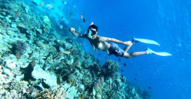 Hurghada: Full-Day Snorkling Trip to Super Utopia - Pickup and Transportation