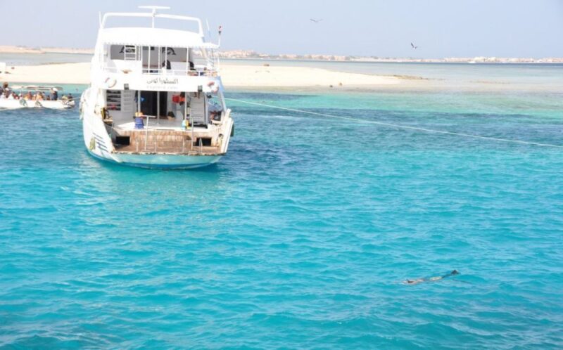 Hurghada: Full-Day Snorkling Trip to Super Utopia - Customer Feedback and Ratings