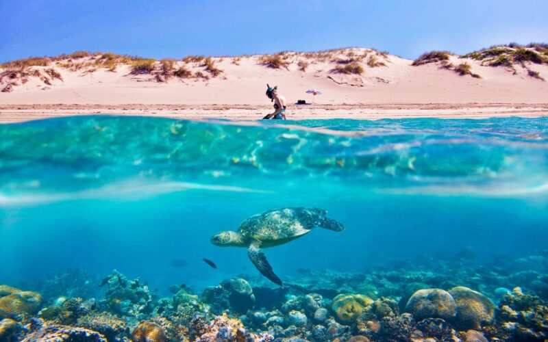 Hurghada: Giftun Island Tour With Snorkeling & Buffet Lunch - Itinerary Details