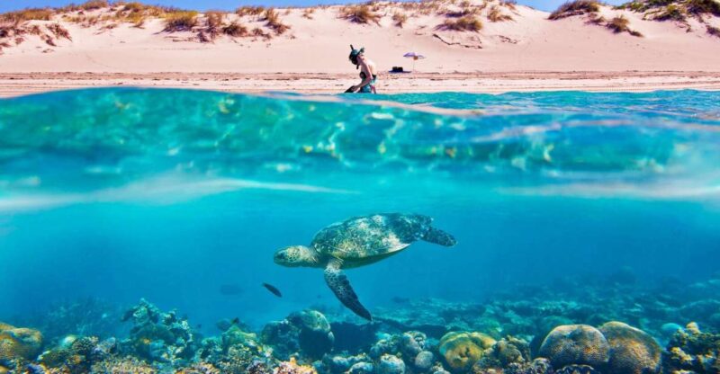 Hurghada: Giftun Island Tour With Snorkeling & Buffet Lunch - Detailed Itinerary