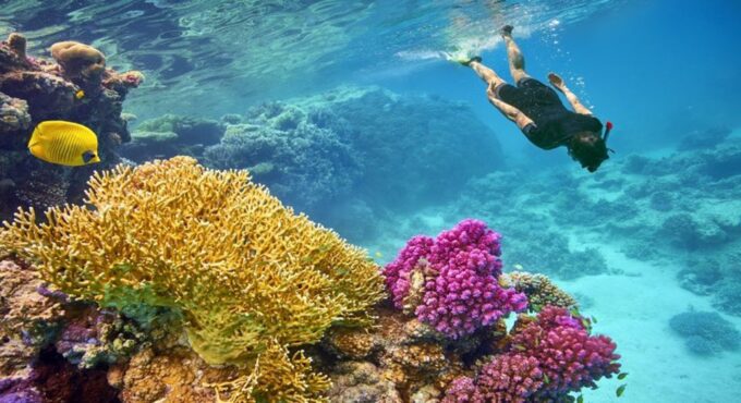 Hurghada: Giftun Island Tour With Snorkeling & Buffet Lunch - Frequently Asked Questions