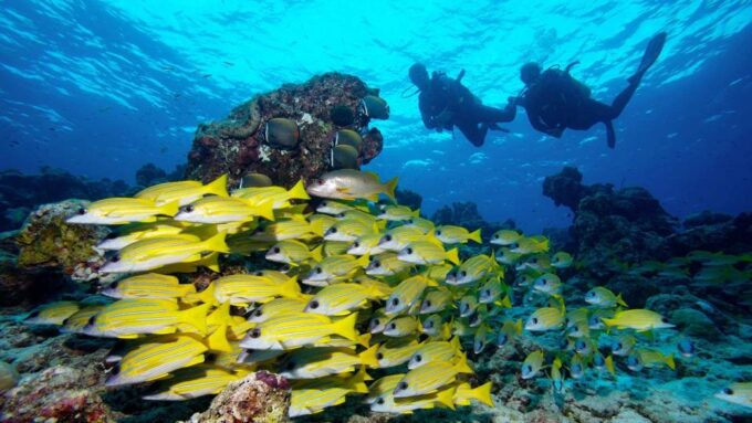 Hurghada: Giftun & Orange Bay Tour With Snorkeling & Lunch - Pickup and Drop-off Locations