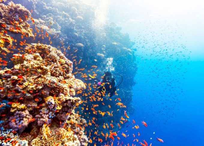 Hurghada: Giftun & Orange Bay Tour With Snorkeling & Lunch - Cancellation and Booking Options