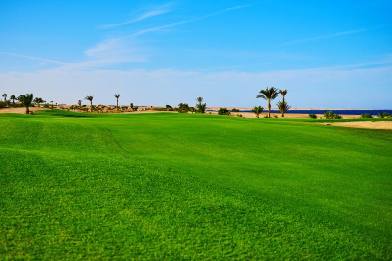 Hurghada: Golfing at the Madinat Makadi Golf Resort - Golf Course Features