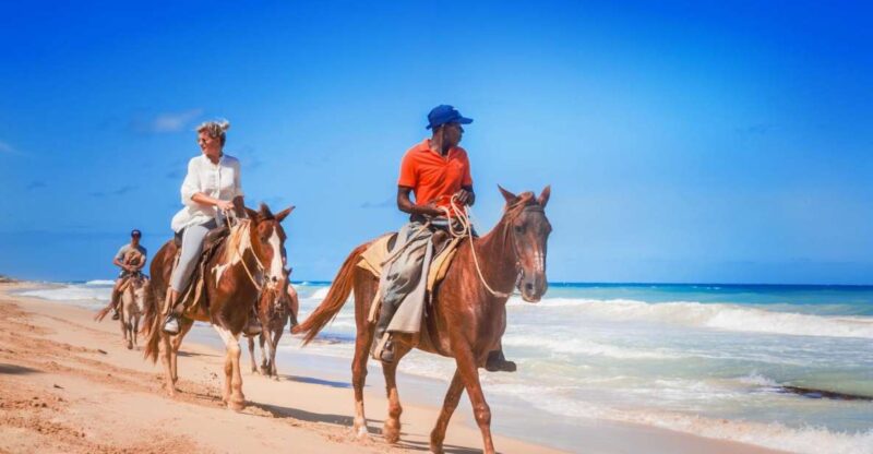 Hurghada: Horse Ride Along the Sea & Desert With Transfers - Itinerary and Experience