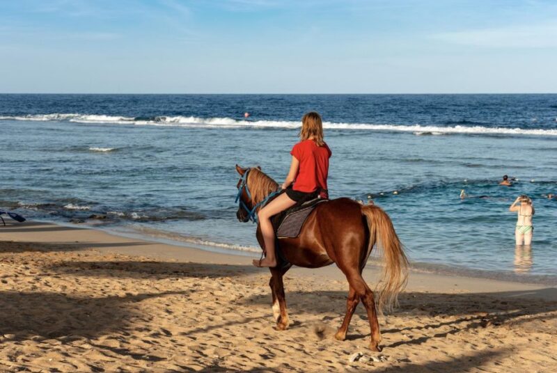 Hurghada: Horse Ride Along the Sea & Desert With Transfers - Customer Feedback
