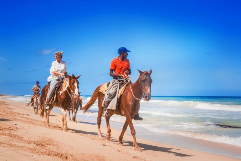 Hurghada: Horse Ride Along the Sea & Desert With Transfers - Highlights