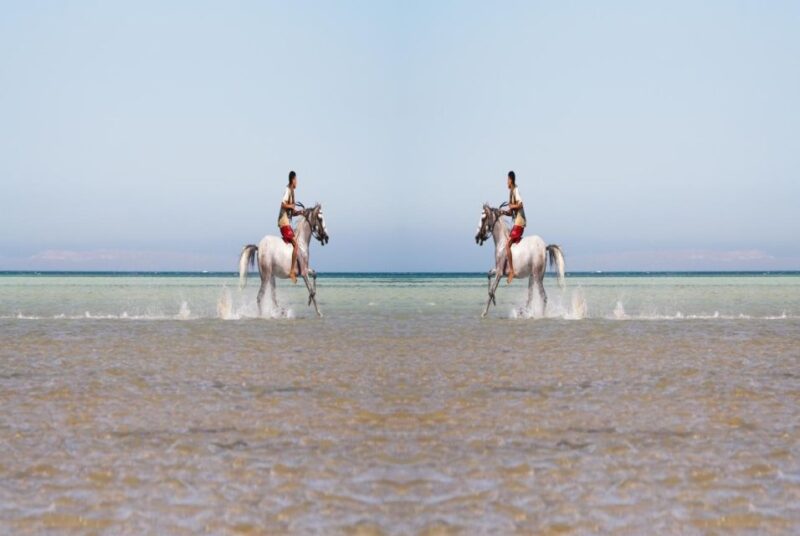 Hurghada: Horse Ride Along the Sea & Desert With Transfers - Customer Feedback