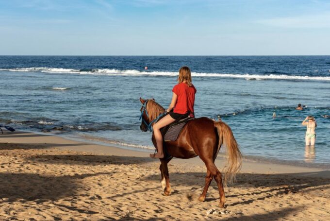 Hurghada: Horse Ride Along the Sea & Desert With Transfers - Pickup and Transfer