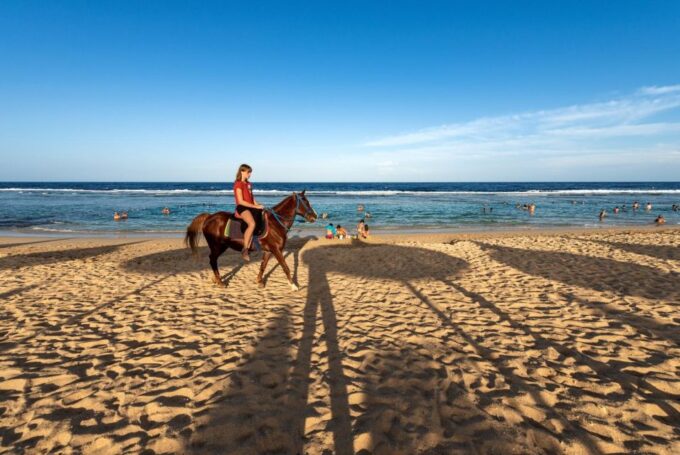 Hurghada: Horse Ride Along the Sea & Desert With Transfers - Age Restrictions