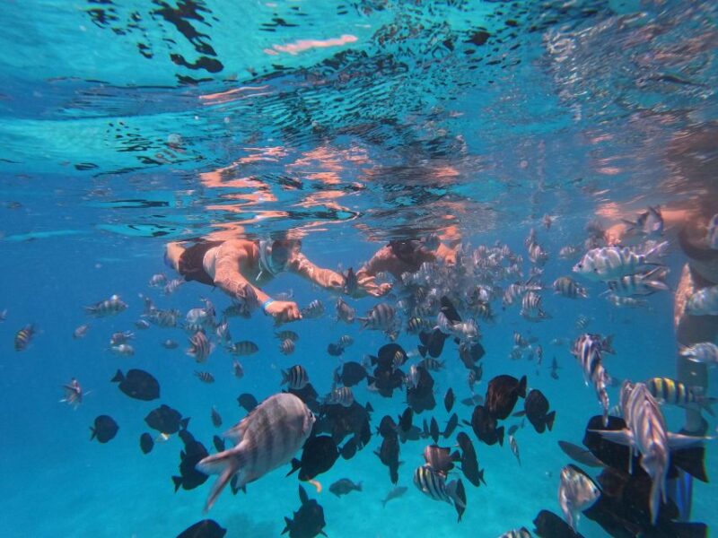 Hurghada: Kings Boat Trip With Snorkeling, Islands & Lunch - Key Points
