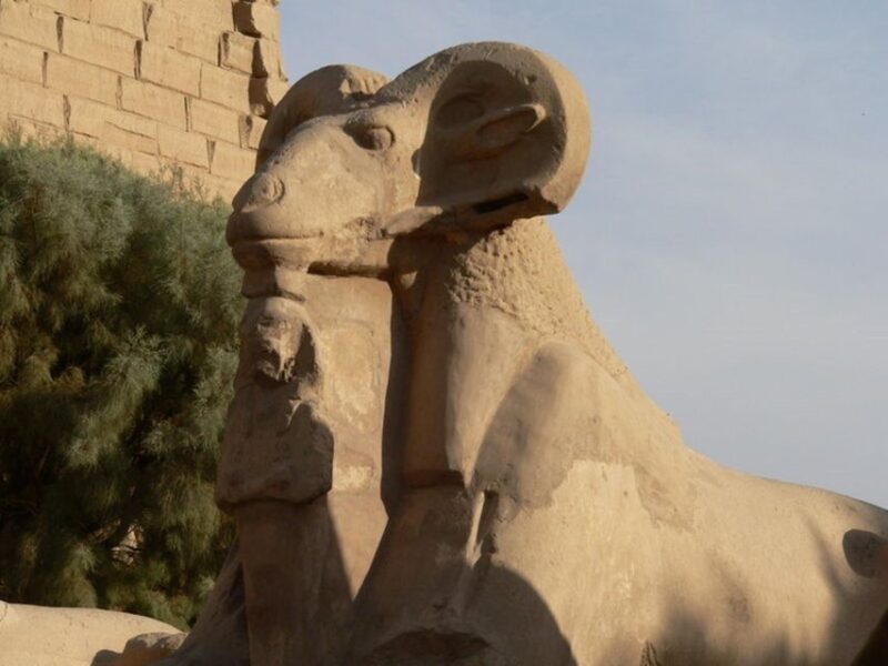 Hurghada: Luxor Valley of Queens, Hatshepsut, Karnak With Lunch - Customer Feedback