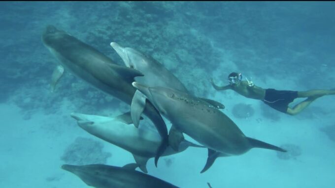 Hurghada: Luxury Yacht Trip With Your Own Crew and Chef - Customer Feedback and Ratings