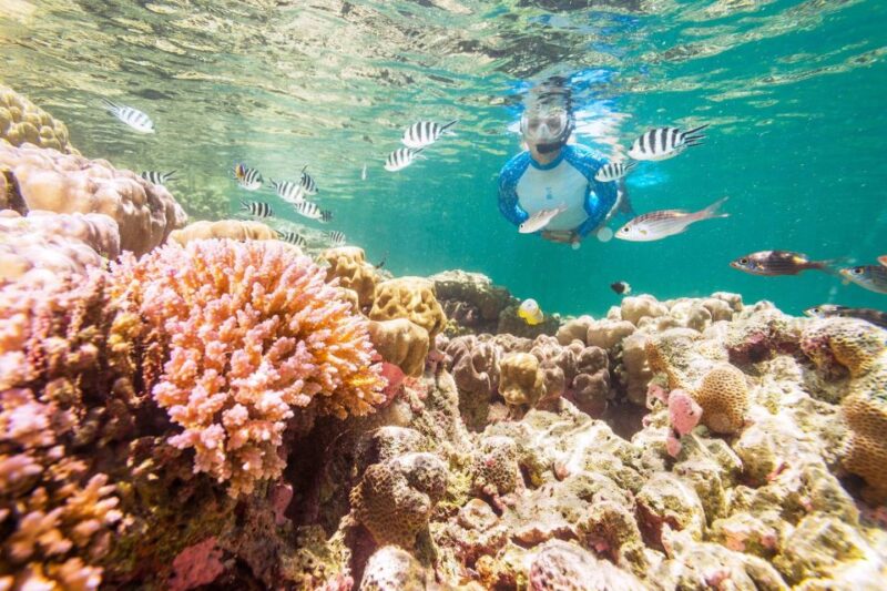 Hurghada: Magawish Island & Parasailing Tour W Buffet Lunch - Snorkeling and Parasailing