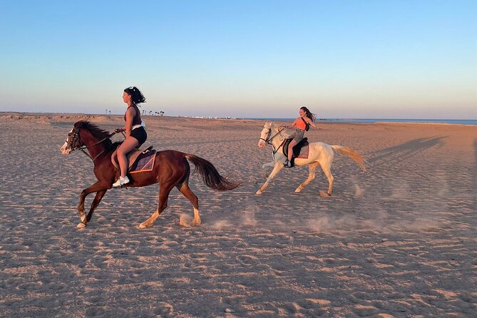 Hurghada: Makadi Water World With Lunch & Transfers - Key Points