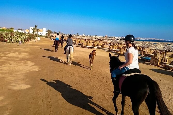 Hurghada: Makadi Water World With Lunch & Transfers - Highlights of Makadi Water World