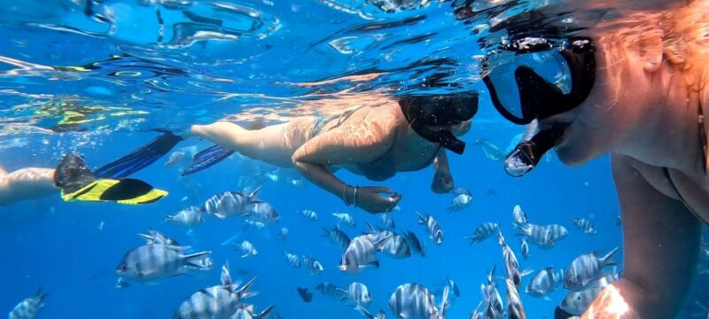 Hurghada: Nemo Island Speedboat Tour With Snorkeling & Lunch - Speedboat Ride and Snorkeling