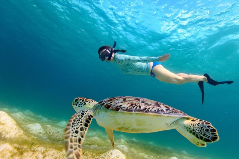 Hurghada: Orange Bay Day Trip With Water Sports and Lunch - Transportation and Fees