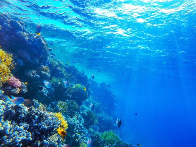 Hurghada: Orange Bay Private Yacht Cruise for Small Group - Snorkeling Opportunities and Exploration