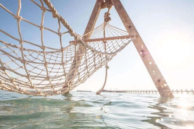 Hurghada: Orange Bay, Snorkeling, Watersports, Lunch & Drinks - Spotting Dolphins During the Journey