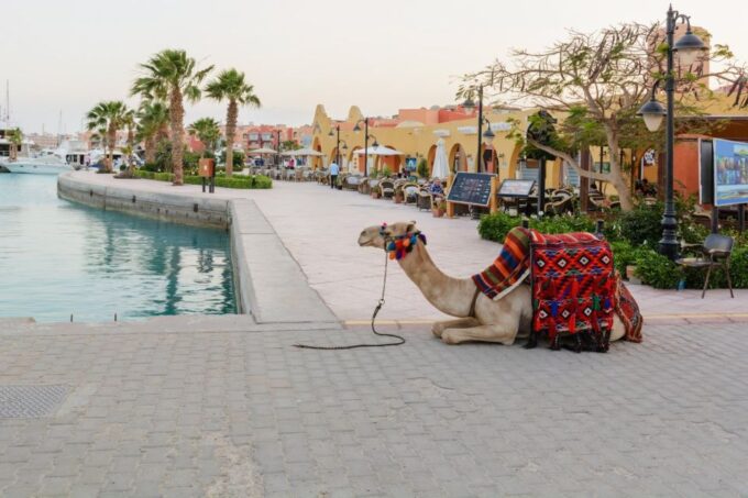 Hurghada: Orange Island Cruise & City Tour With Shopping - Additional Options