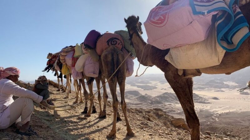 Hurghada: Orange Island, Grand Safari, Dolphin House Package - Additional Pickup Locations