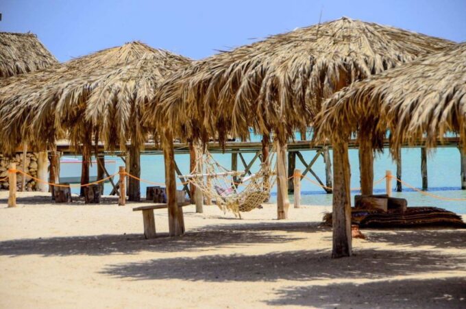 Hurghada: Orange Island, Grand Safari, Dolphin House Package - Customer Feedback Highlights