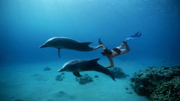 Hurghada: Orange Island, Grand Safari, Dolphin House Package - Frequently Asked Questions