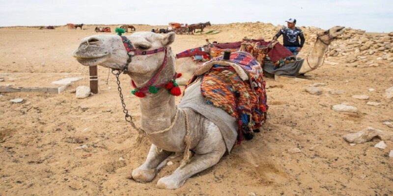 Hurghada: Over Day Tour to Luxor & Balloon Ride & Transfer - Itinerary: Day 1
