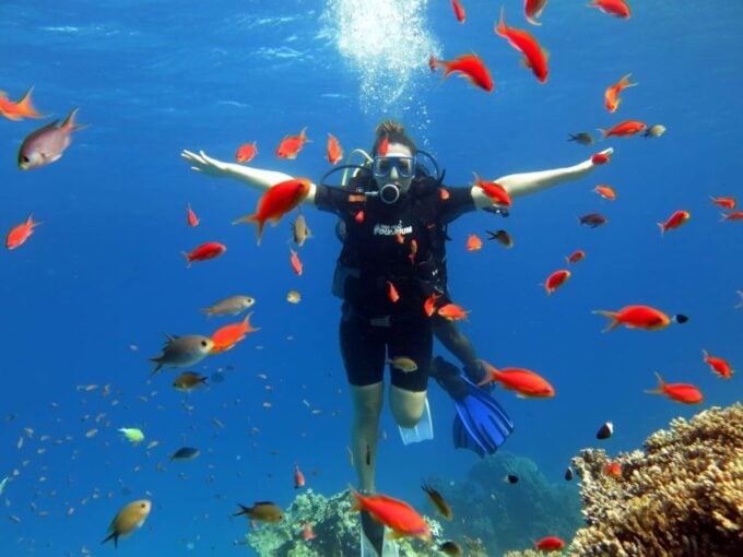 Hurghada: Platinum Orange Bay Snorkeling Cruise With Lunch - Inclusions and Fees