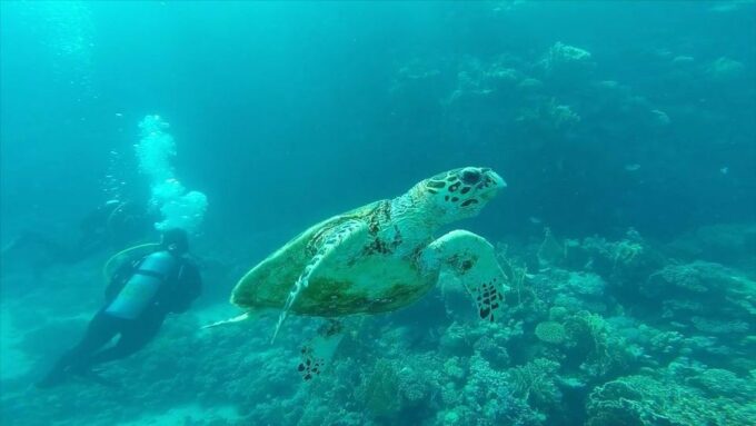 Hurghada: Premium Orange Bay Island Cruise With Lunch - Recap