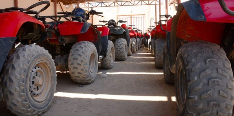 Hurghada: Private ATV Safari, Bedouin Village, Camel Ride - Participant Information