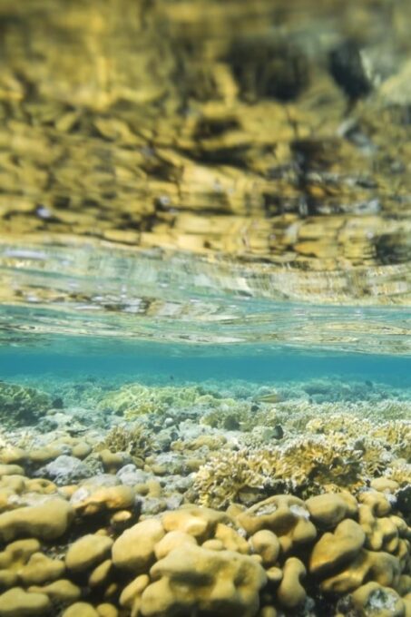 Hurghada: Private Speed Boat Trip 3 Snorkeling Spots - Frequently Asked Questions