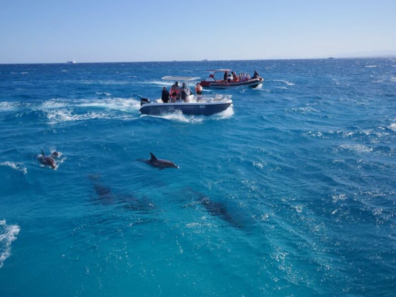 Hurghada: Private Speedboat to Orange & Nemo Island With Lunch - Pickup and Itinerary Details