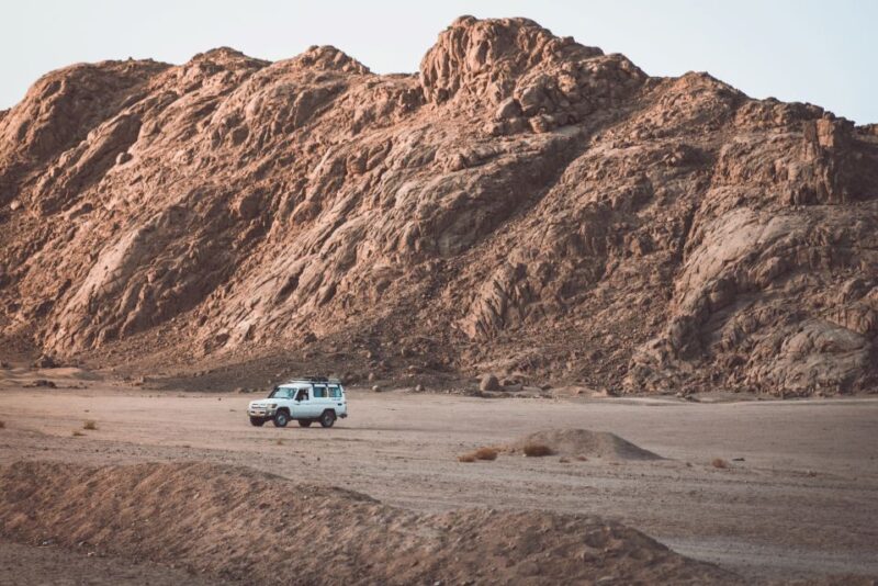 Hurghada: Quad, Jeep, Camel and Buggy Safari With BBQ Dinner - Pricing and Discounts