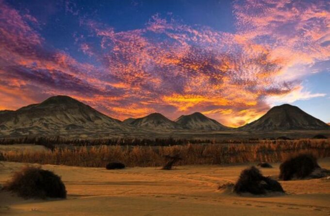 Hurghada: Quad, Jeep, Camel and Buggy Safari With BBQ Dinner - Key Tour Highlights