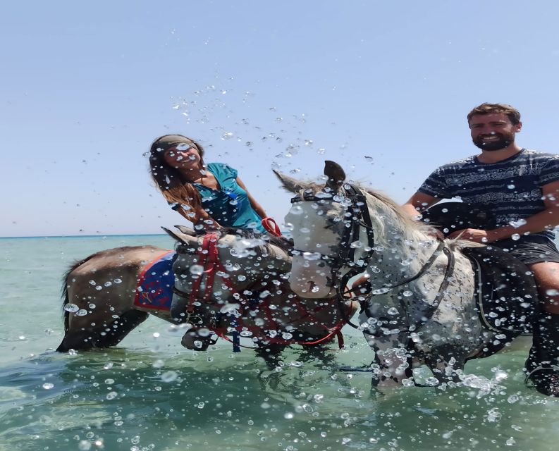 Hurghada: Red Sea & Desert Horse Riding Tour With Swimming - Customer Experience