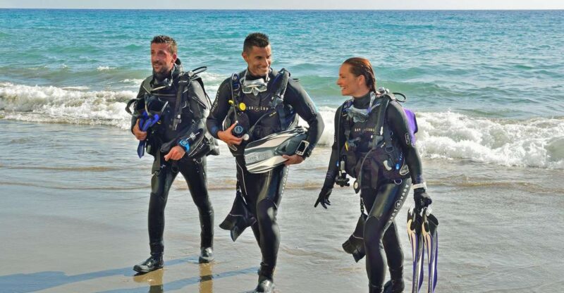 Hurghada- Redsea: Shore Diving With Transfers From Hurghada - Experience Highlights