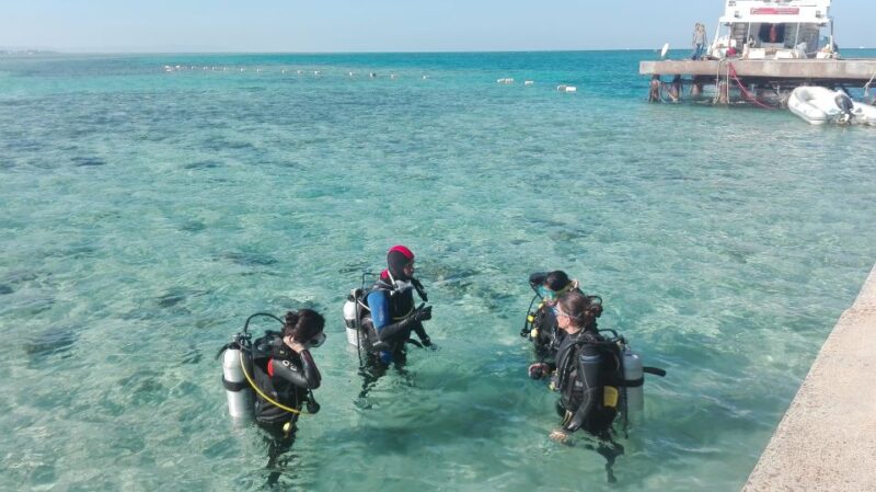 Hurghada- Redsea: Shore Diving With Transfers From Hurghada - Inclusions