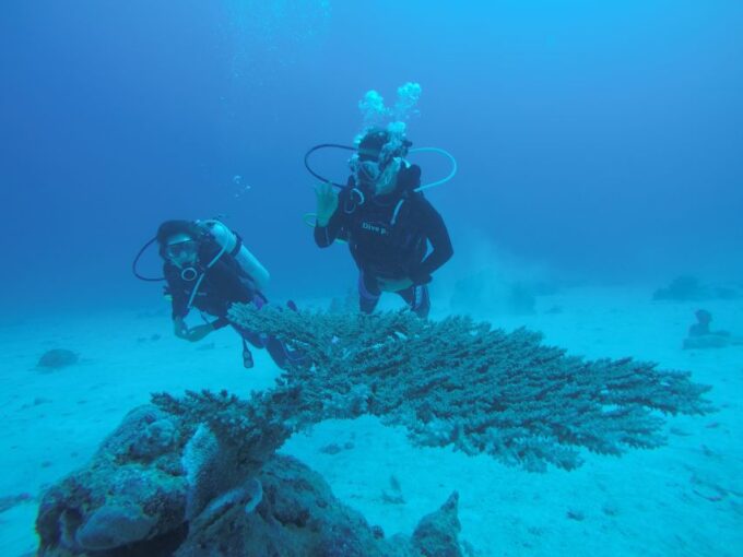 Hurghada- Redsea: Shore Diving With Transfers From Hurghada - Frequently Asked Questions