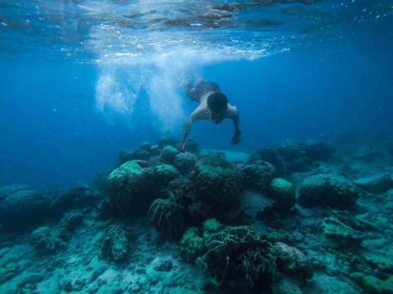 Hurghada: Royal Orange Bay W/ Massage, Water Sports & Lunch - Itinerary and Experience